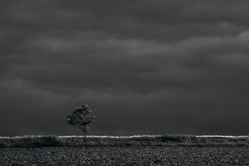 Перед грозойphoto preview