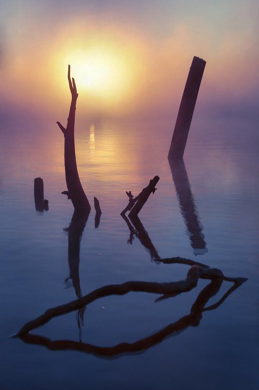 югра после штормаphoto preview