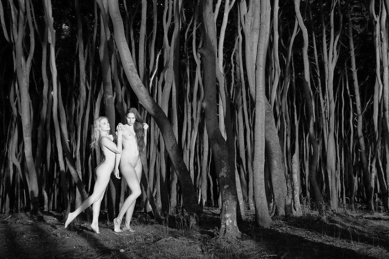 nude, girl, artnude, art, nature zu zweitphoto preview