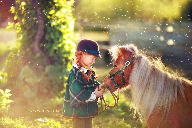 Рыжикиphoto preview