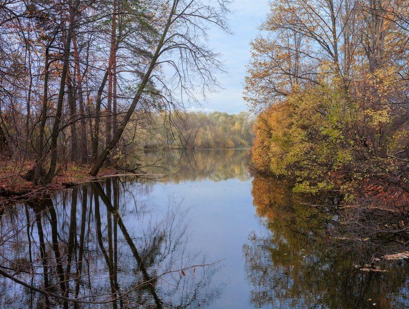 осень, лес, река, Тихая осеньphoto preview