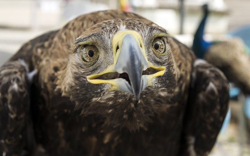 Ух-ты... Меня снимают?!photo preview