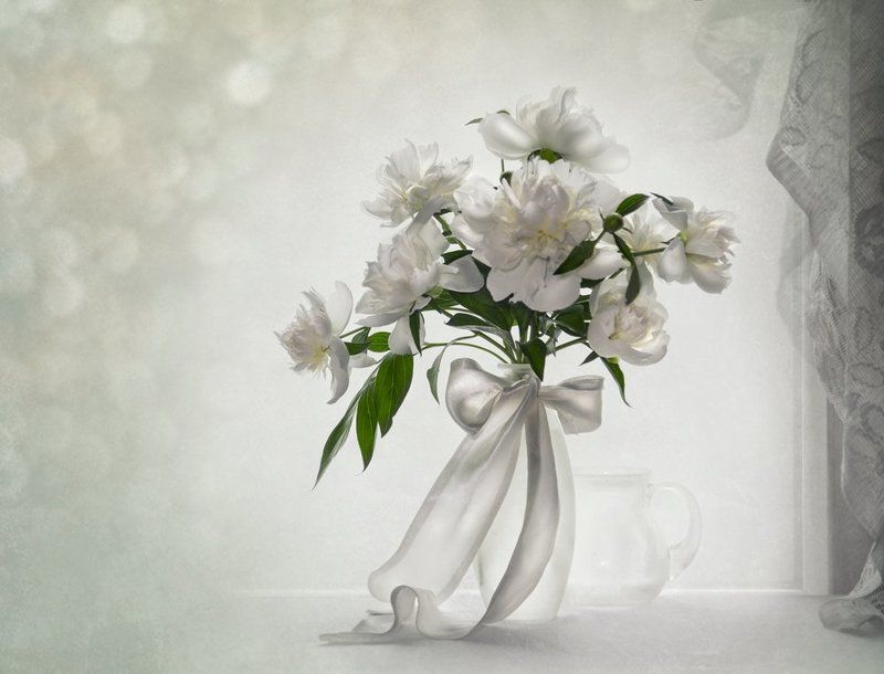 белые пионы, весна,май, настроение,натюрморт,нежность Бело - с - Нежные....photo preview