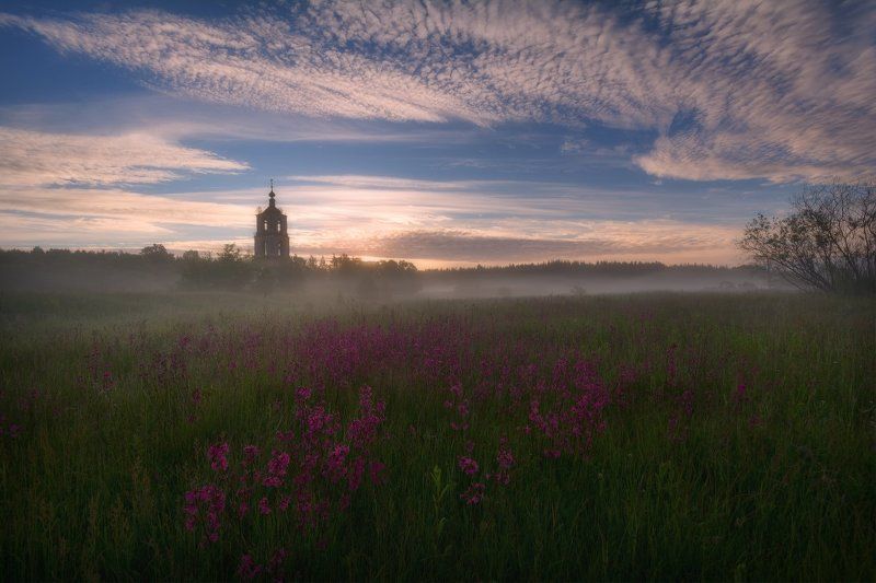 Летняя гармония...photo preview