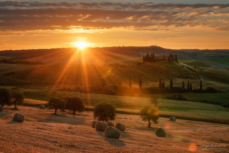 sunrise, sun, sunlight, tuscany, field Early morning at Tuscanyphoto preview