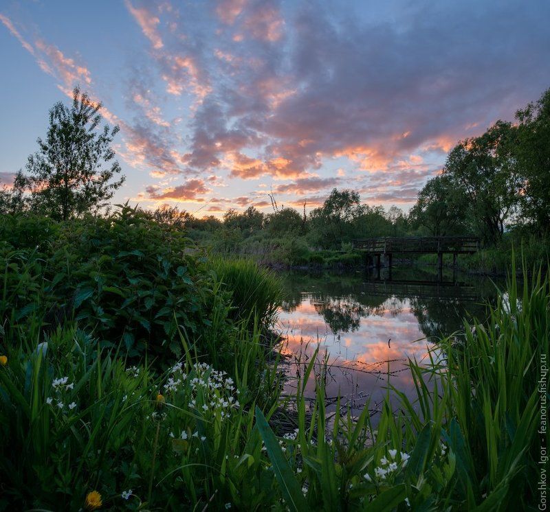 москва,свиблово,закат,река,яуза,трава,цветы Закат в Свибловоphoto preview