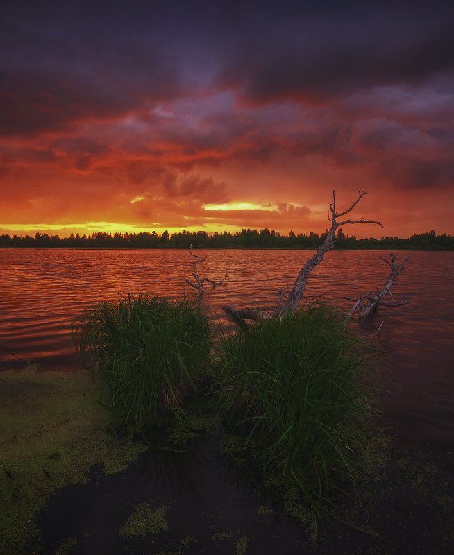 россия, подмосковье, весна, вечер, закат, небо, краски, свет, цвет, огонь, вода, озеро, тучи, облака, трава Инферноphoto preview