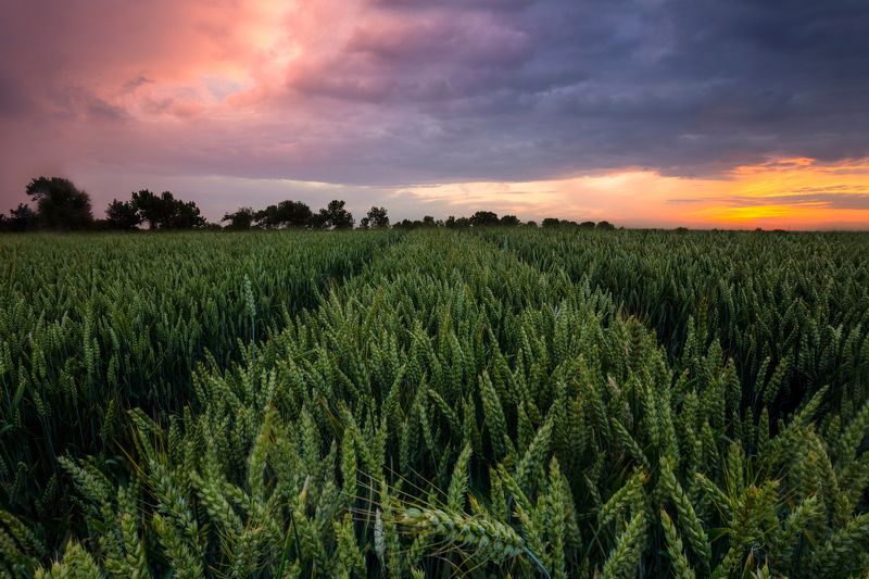 Замечателнии закатphoto preview