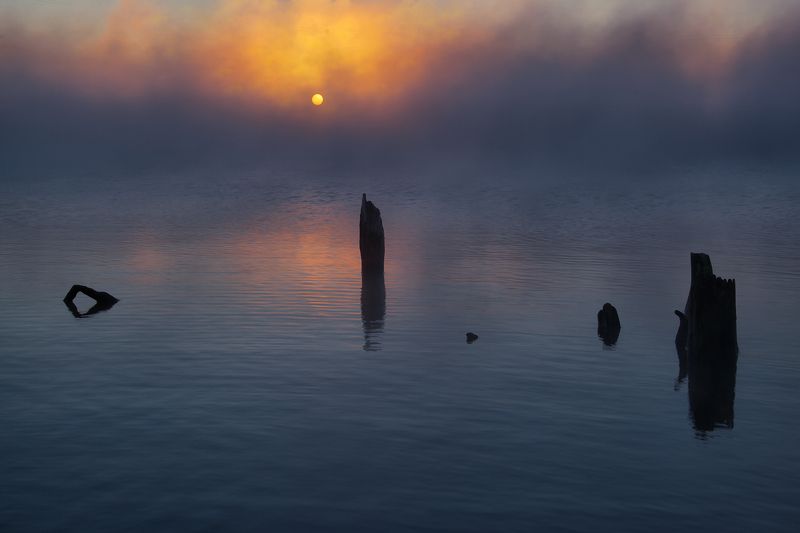 югра утро туманноеphoto preview