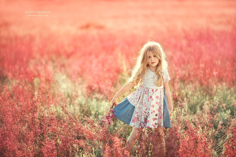 Прованс по-русски)photo preview