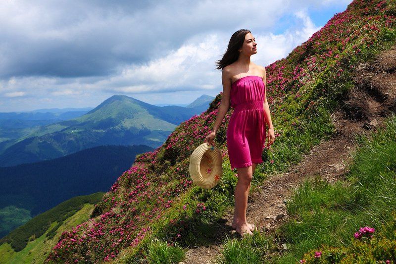 Відкритий простір фото превью