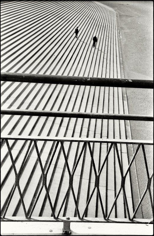 life ***photo preview