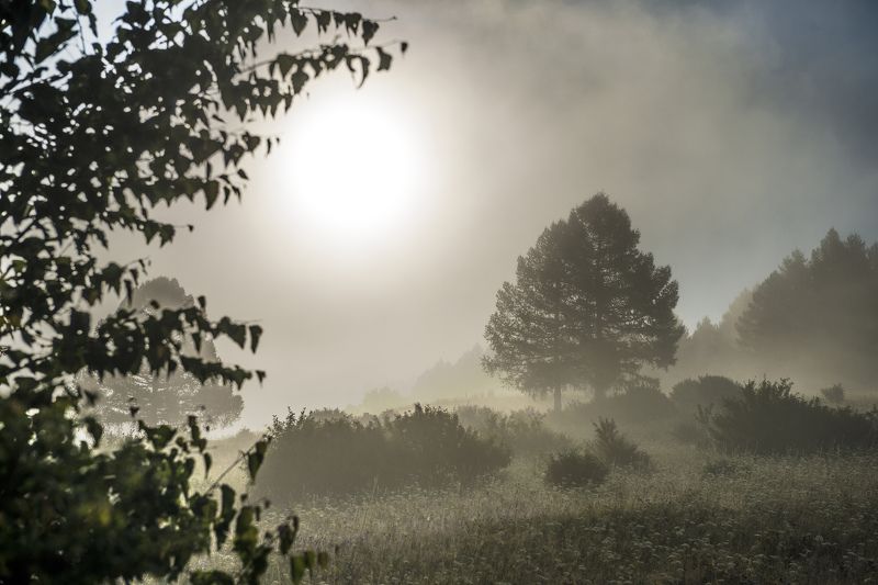 туман, пейзаж, горы, южный Урал, солнце Туманphoto preview