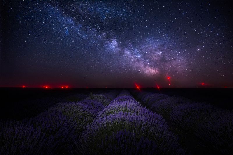 Млечный путь через поле лавандыphoto preview