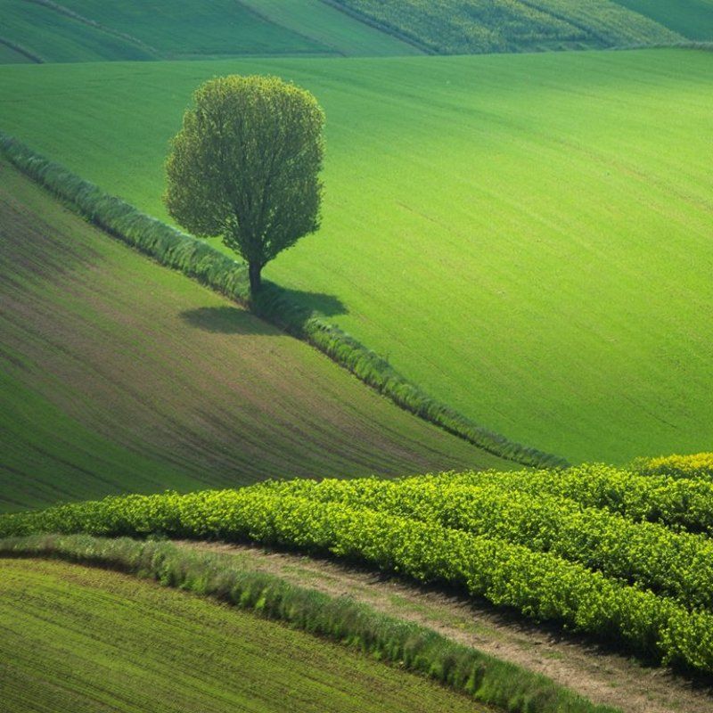 Roztocze (Polska)photo preview