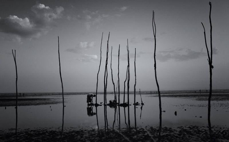 Iran Bandarabbas Mehdi Nazeri Mehdi_Nazeri  Photography Moshtaphoto preview