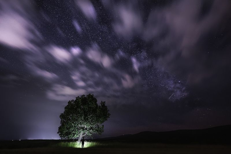 night, stars, sky, clouds, tree, landscape, outdoor, nature, milky way Summer nightphoto preview