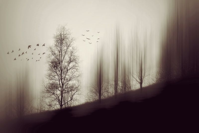 My workphoto preview