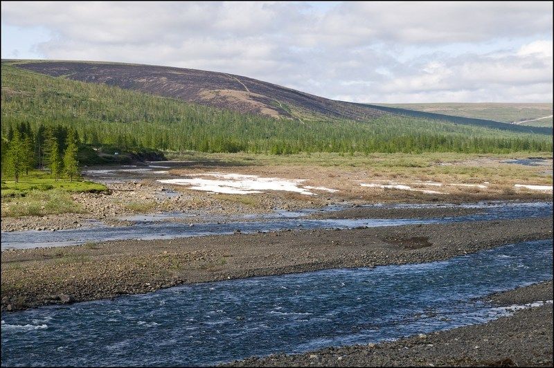 Таймыр,река,лето У рекиphoto preview