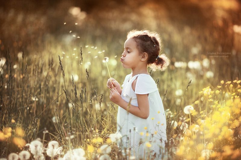 В одуванчикахphoto preview