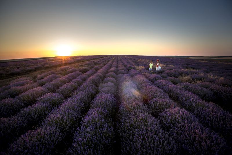 Lavandaphoto preview