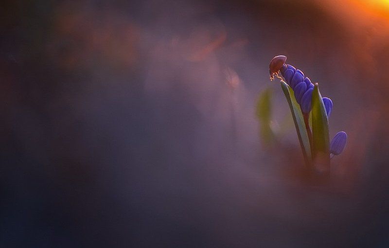 Вспоминаетсяphoto preview