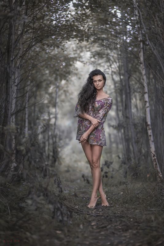 вечер...photo preview