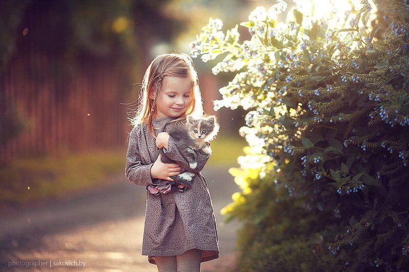 Котятки)photo preview