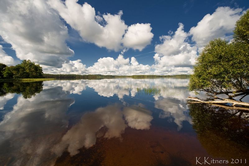 lake tree forest sky clouds water reflection summer latvia Reflections On The Lakephoto preview
