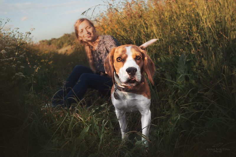 собака, бигль, собака и хозяин, прогулка с собакой, гончая Луиза и Интиphoto preview