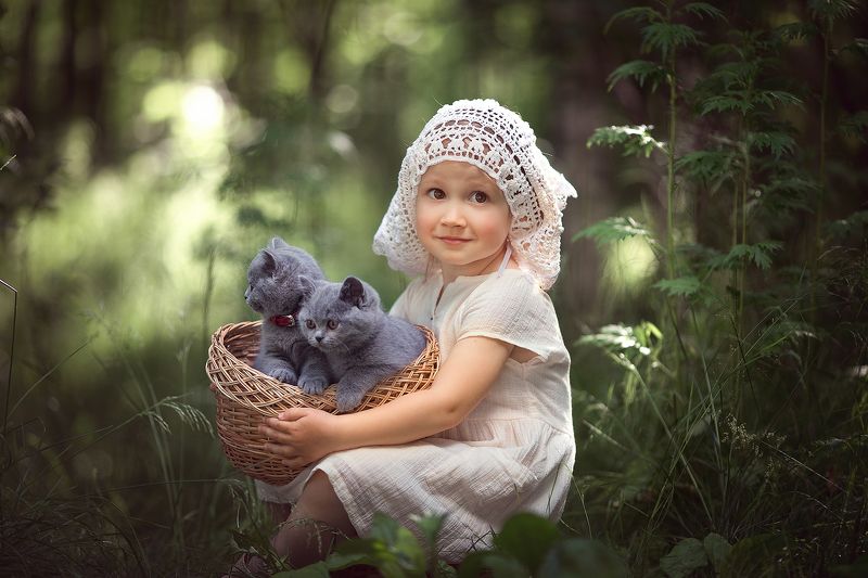 Котятаphoto preview