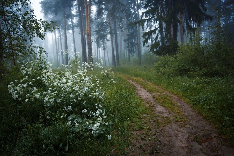 Сонная лощинаphoto preview