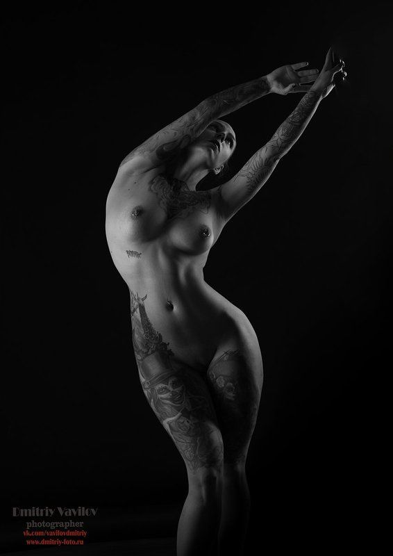 ню, эротика, art_vavilov, Контурыphoto preview