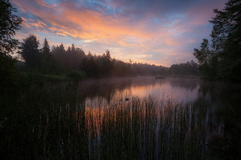 лето, утро, озеро, лес, благодать, беларусь Начало прекрасного дняphoto preview
