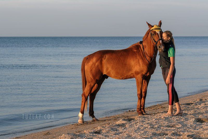 девушка и конь, лошади, азовское море Её гнедой другphoto preview