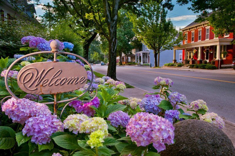 Hydrangea Bloomsphoto preview