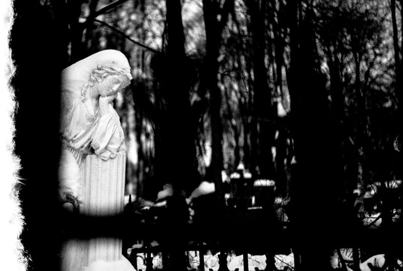 Domus silentiumphoto preview