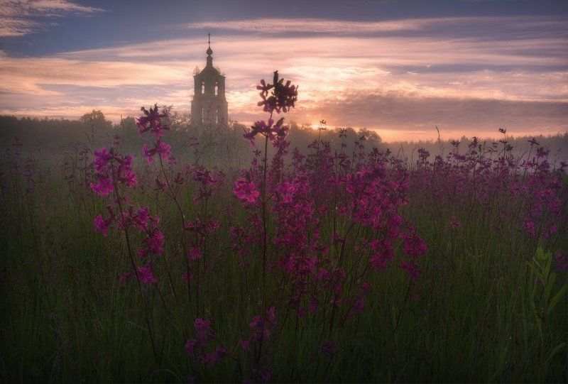 пейзаж, пейзажная съемка, утро, туман, храм, июнь, июньское утро, свежесть, молодая зелень, никон, landscape, may, fog, morning, church Летние цветыphoto preview