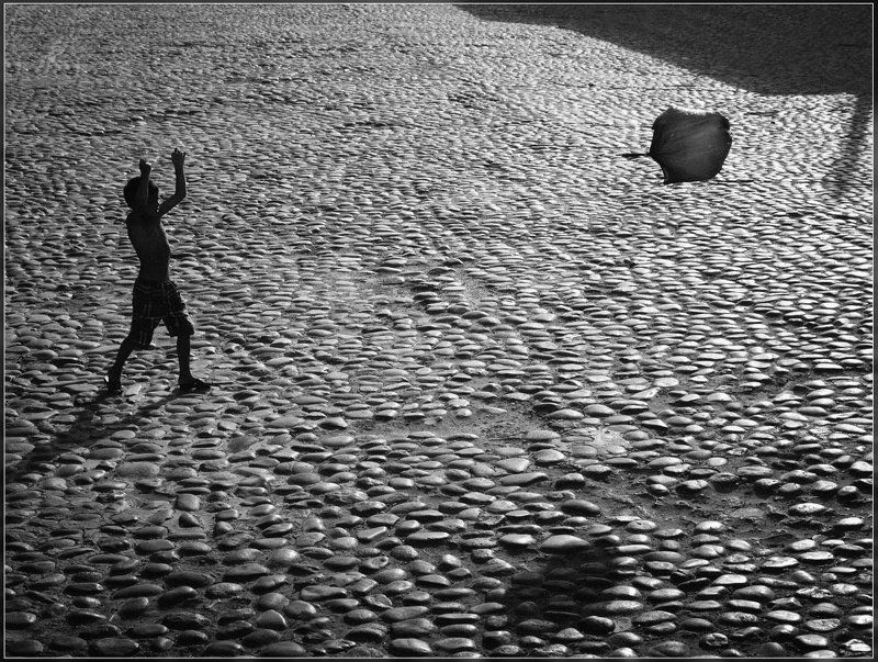 Укротитель фото превью