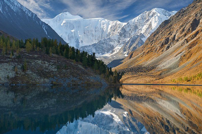 Белухаphoto preview