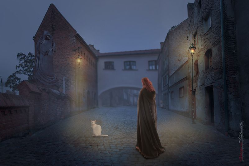 surreal Misty Morningphoto preview