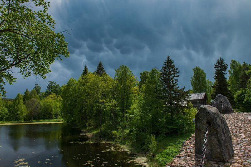 Mammatus cloudsphoto preview