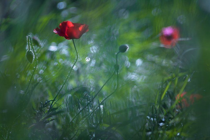 Morning momentsphoto preview