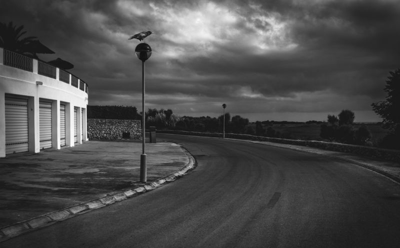 street, bw ,light, guidance, road ,asphalt, monochrome, crow ,outdoors Crow..photo preview