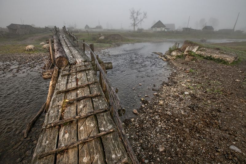 алтай, горы, туман Мостик таежной деревниphoto preview