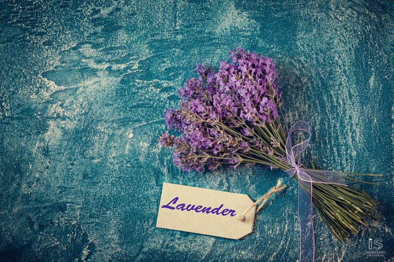 Lavenderphoto preview