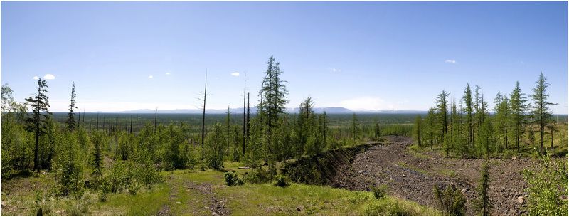 Таймыр,лето,Июль Летняя пораphoto preview