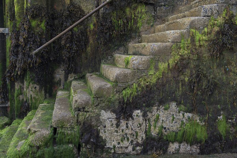 шотландия ***photo preview