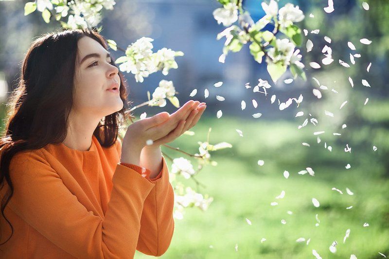 Холодное летоphoto preview