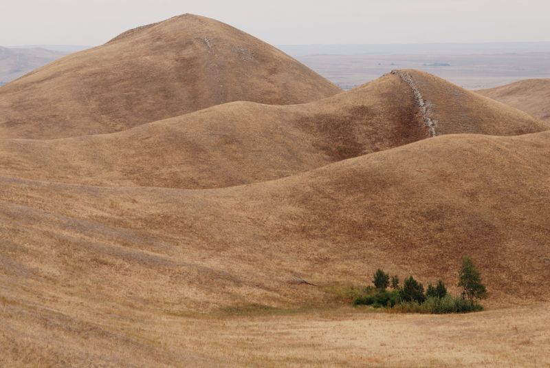 Оазисphoto preview